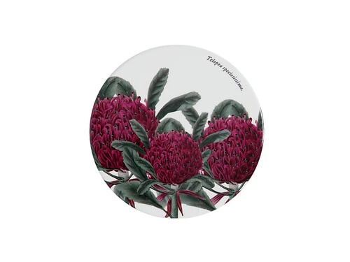 Royal Botanic Gardens Ceramic Round Coaster 9.5cm Telopea 3 Royal Botanic Gardens Ceramic Round Coaster 9.5cm Telopea