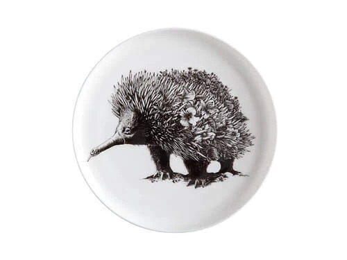 Marini Ferlazzo Plate 20cm Echidna 3 Marini Ferlazzo Plate 20cm Echidna