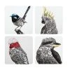 Marini Ferlazzo Birds Of Australia Cork Back Coaster 10.5cm Set Of 4 Gift Boxed 1 Marini Ferlazzo Birds Of Australia Cork Back Coaster 10.5cm Set Of 4 Gift Boxed -Maxwell & Williams Shop gi0133