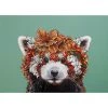Marini Ferlazzo Wild Planet Placemat 43.5x28.5cm Red Panda 2 Marini Ferlazzo Wild Planet Placemat 43.5x28.5cm Red Panda -Maxwell & Williams Shop gi0313