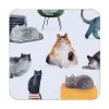 Marc Martin Feline Friends Cork Back Coaster 10.5cm Set Of 4 Gift Boxed -Maxwell & Williams Shop gi0324