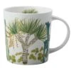 Royal Botanic Garden Arid Garden Mug 300ML Dracaena Gift Boxed -Maxwell & Williams Shop jy0003